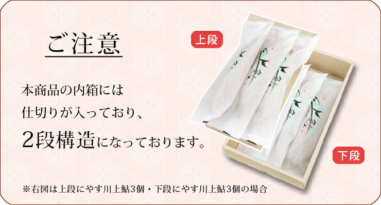 やす川上鮎(のぼりあゆ)