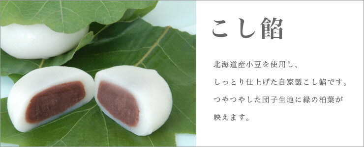 端午の節句 かしわ餅 6個入(小豆こし餡・つぶ餡)