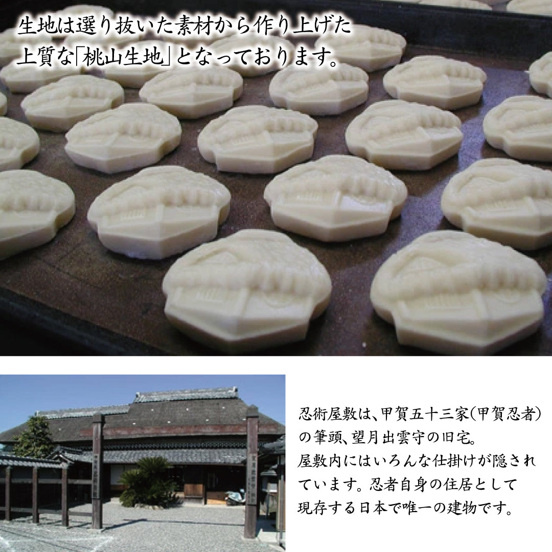 S-3 忍術屋敷3個こうしん2個みなくち2個詰め合わせ