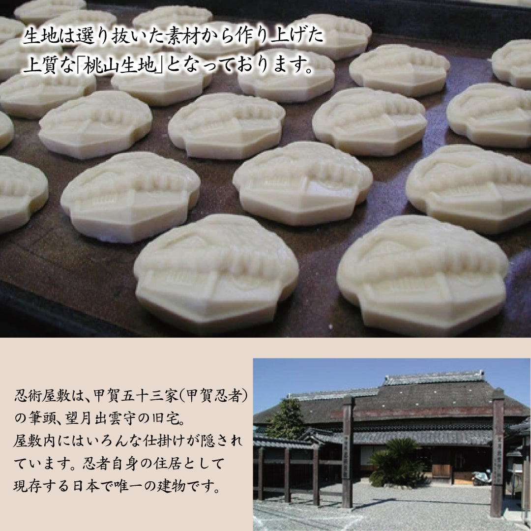 迎春菓詰め合わせ 迎春どら焼き1個忍術屋敷1個七転八起1個みなくち1個しるべ1個こうしん1個