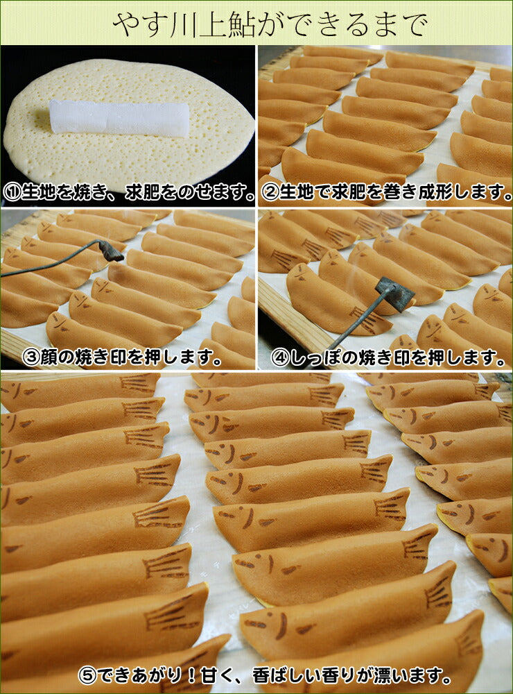 やす川上鮎(のぼりあゆ)単品※店頭受け取り専用品