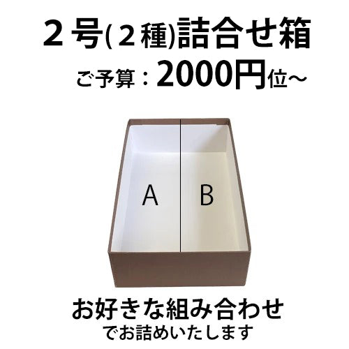 2号(2種)詰め合わせ箱カスタマイズ箱