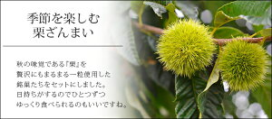 栗づくし詰め合わせH 珠の栗5個栗どらやき4個栗最中5個